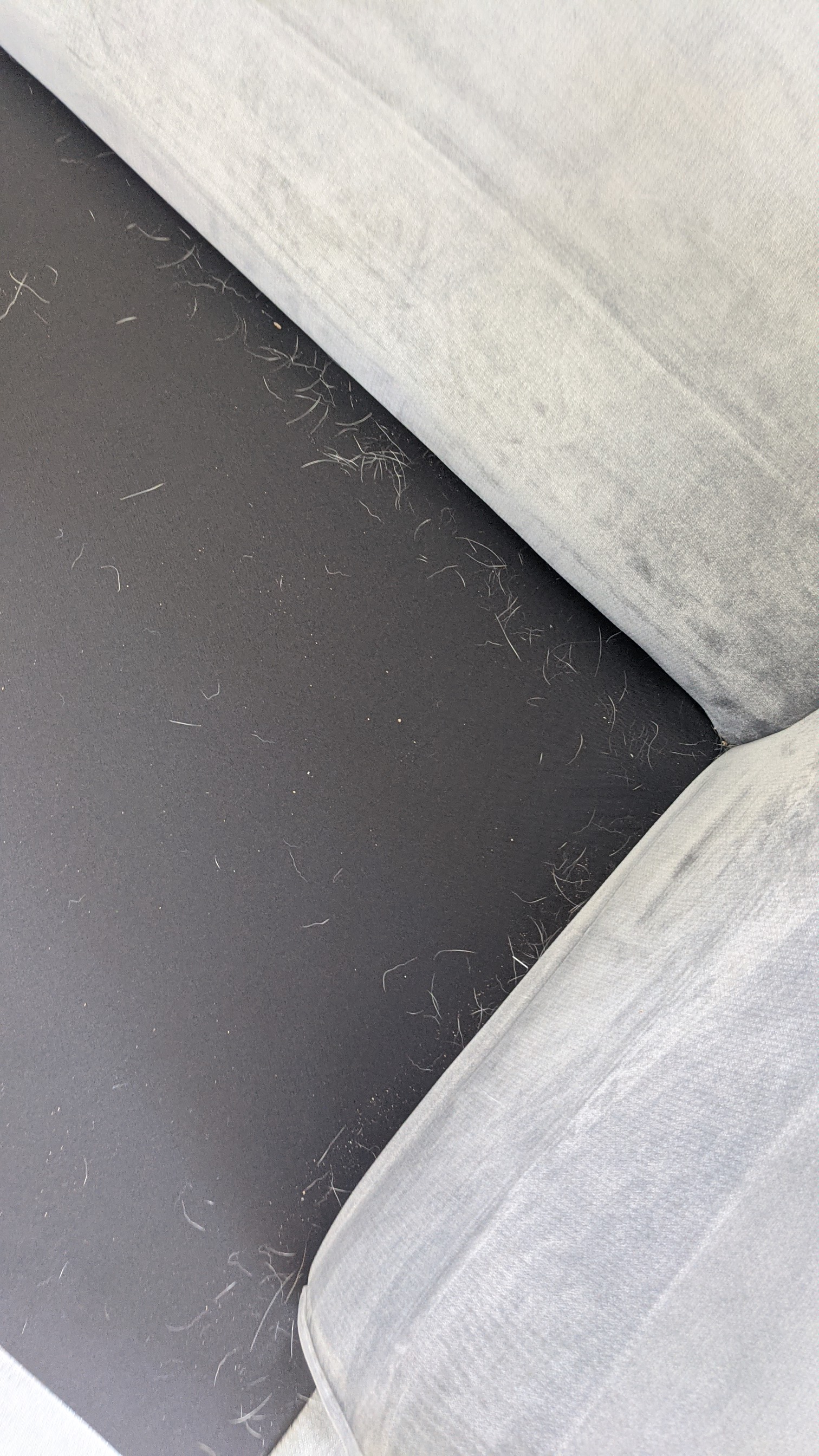 PXL_20210406_202145491.jpg PXL_20210406_202145491.jpg