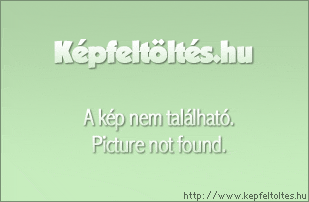 rug1_www.kepfeltoltes.hu_.jpg