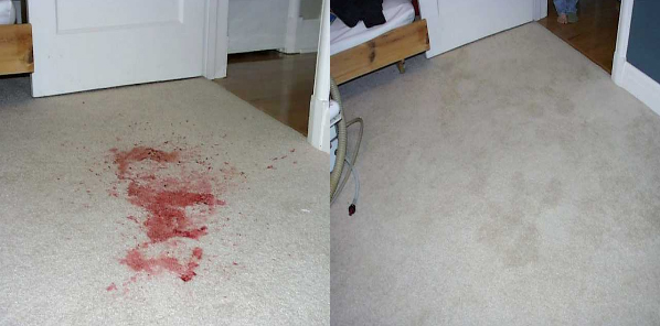 scotch-gard-carpet-cleaning-before-and-after-results.jpg
