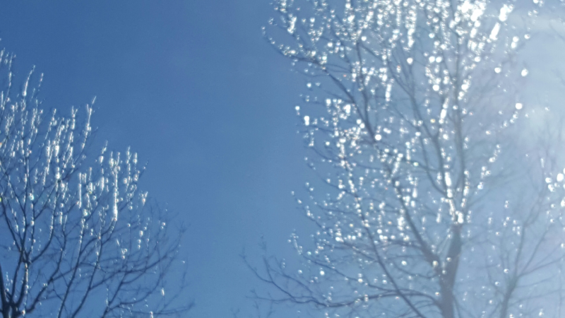 Screenshot_2016-01-24-20-15-06.png