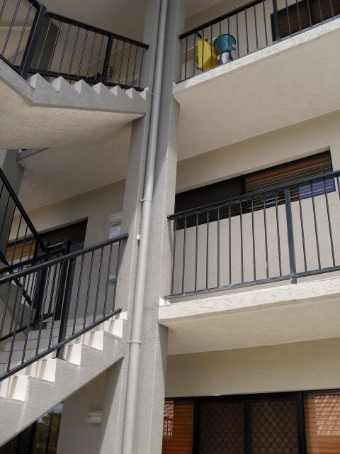 SDC10045.jpg