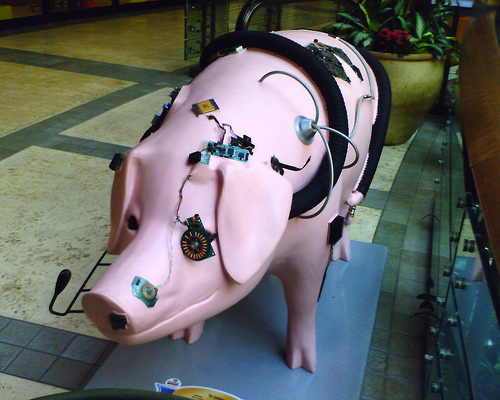 Seven-of-Swine-1264.jpg