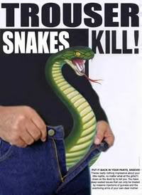 snakes.jpg