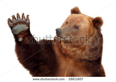 stock-photo-bear-welcomes-you-and-waving-his-paw-28611607.jpg