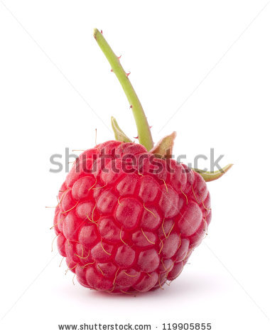 stock-photo-ripe-raspberries-isolated-on-white-background-cutout-119905855.jpg