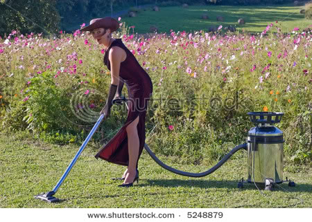 stock-photo-sexy-woman-cleaning-green-natural-carpet-in-front-of-cosmos-field-5248879.jpg