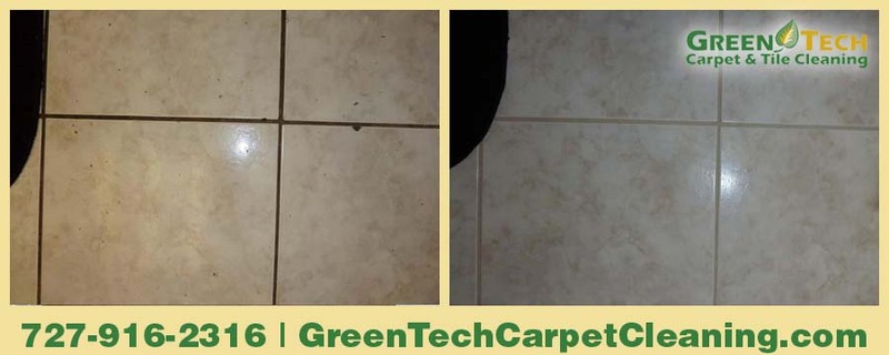 Tile_Cleaning_Holiday_FL_zpsedd90a5a.jpg