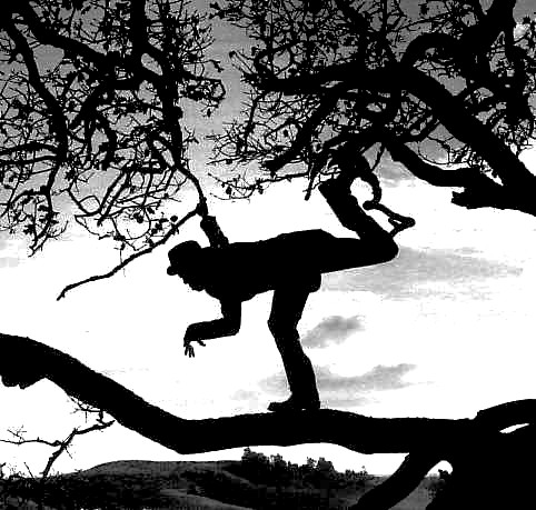 tom_waits_in_a_tree.jpg