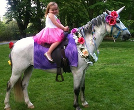 unicorn pony party crop.jpg