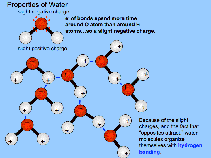 watermolecule.gif