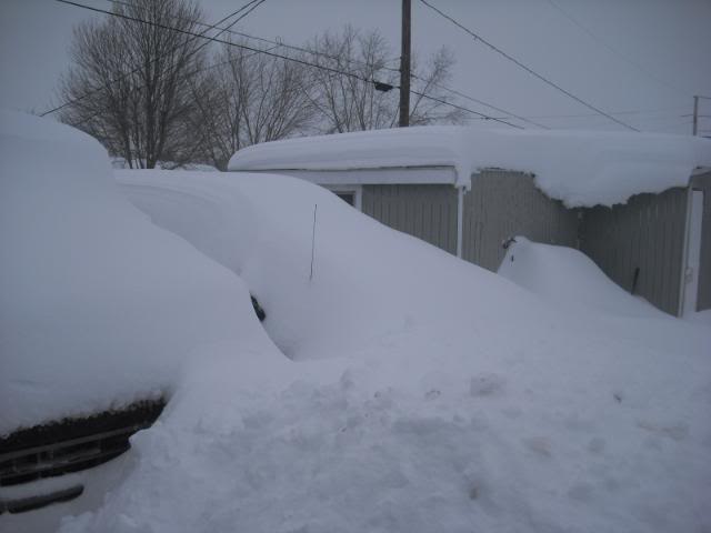 winter2010004.jpg