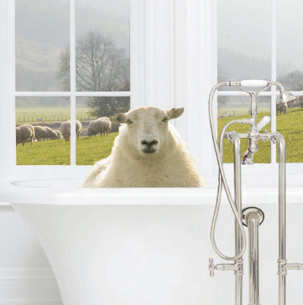 wool.jpg