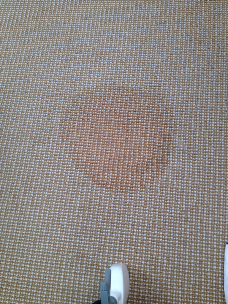wool spot.JPG