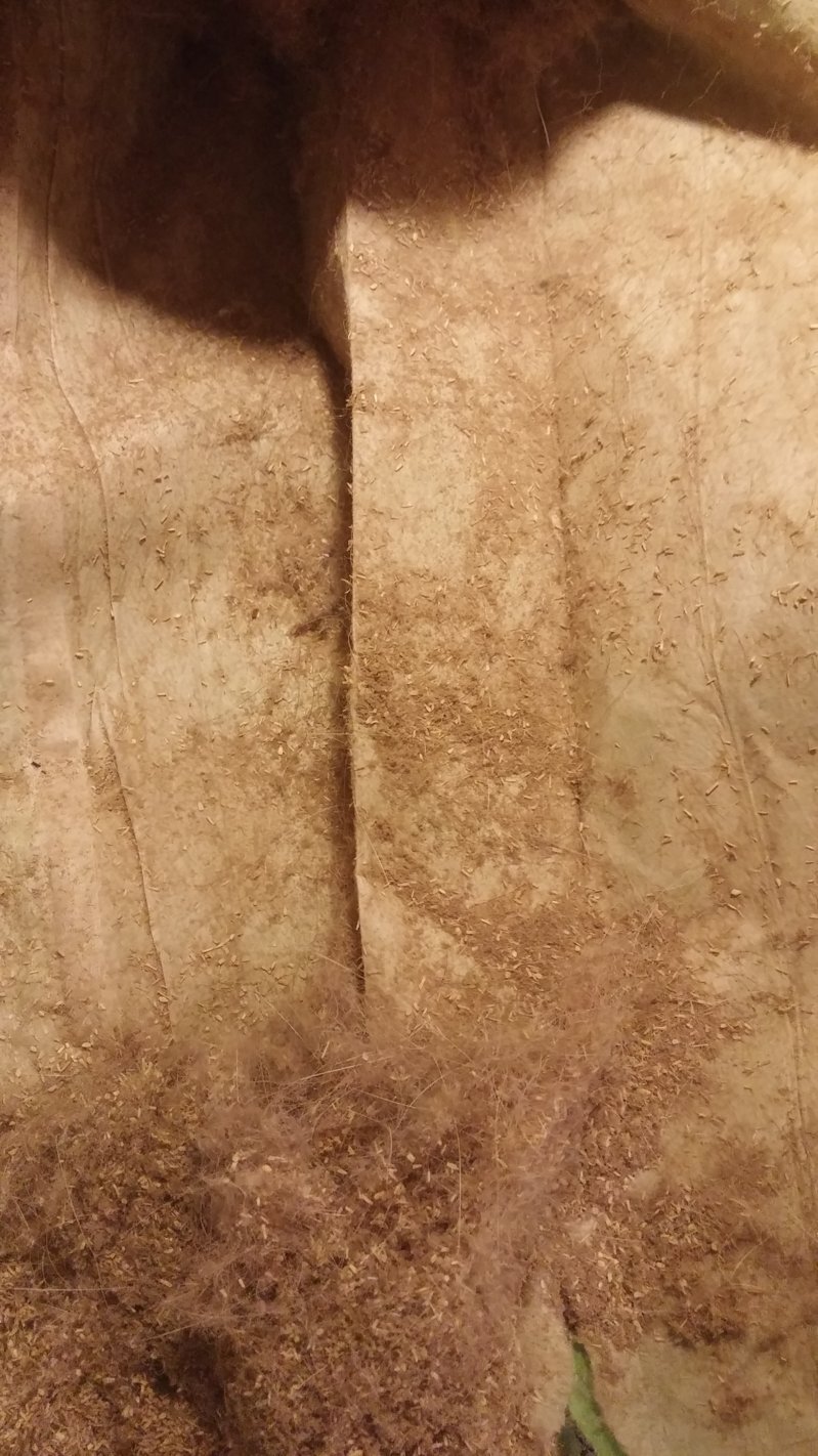 0102161451.jpg