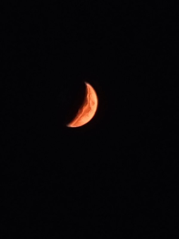 20200823_215858.jpg