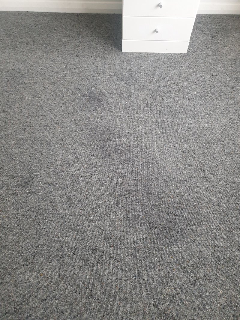 20201104_143745.jpg