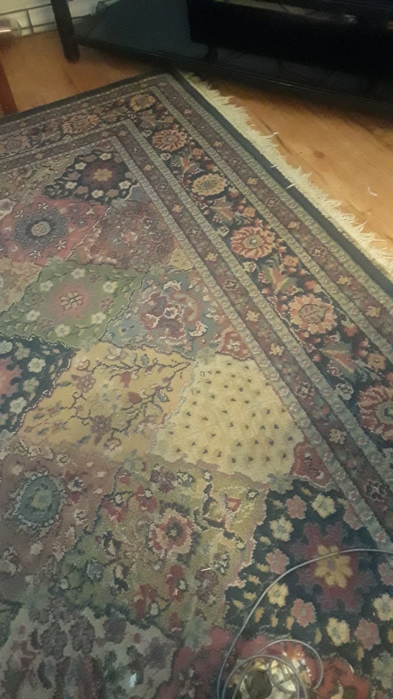 20201205_132302.jpg