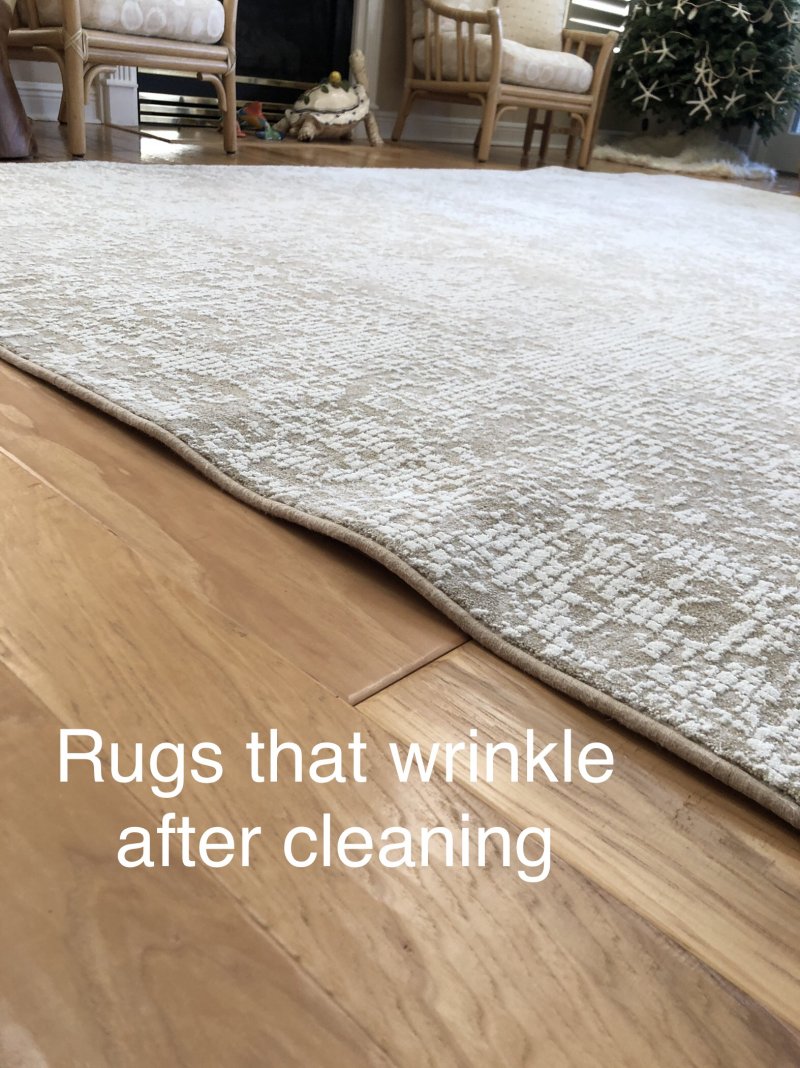 What Can I Do About a Wet Area Rug?