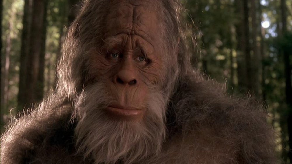 Harry-and-the-Hendersons.jpg