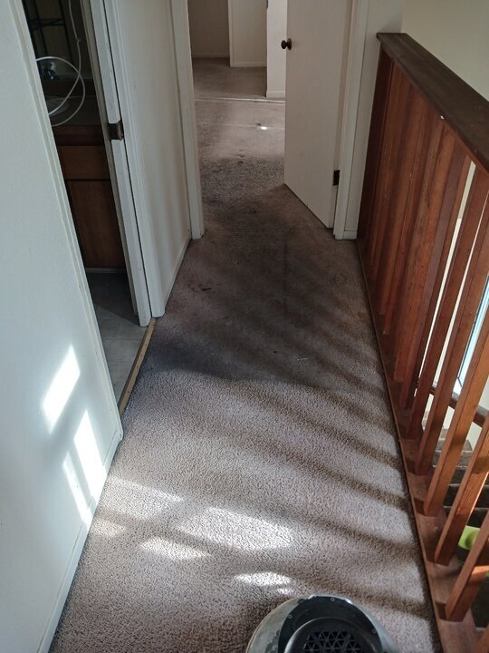 20221110_125239.jpg