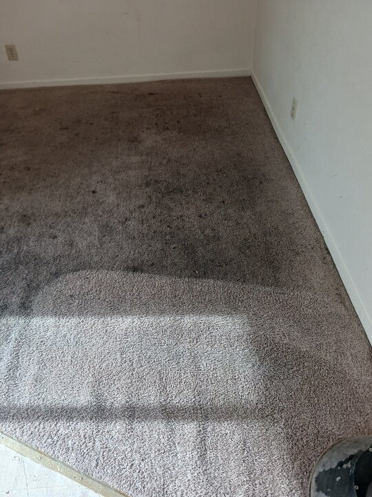 20221110_121818.jpg