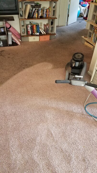 20180912_145728.jpg