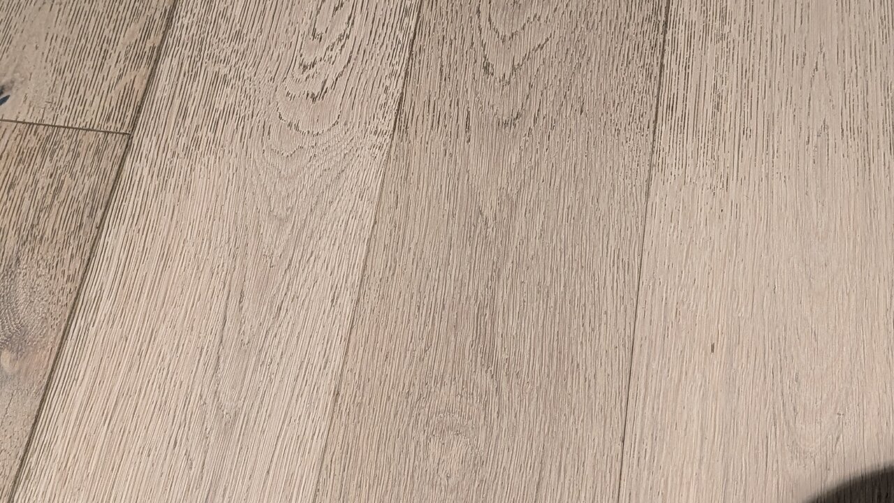PXL_20251009_165826825.jpg