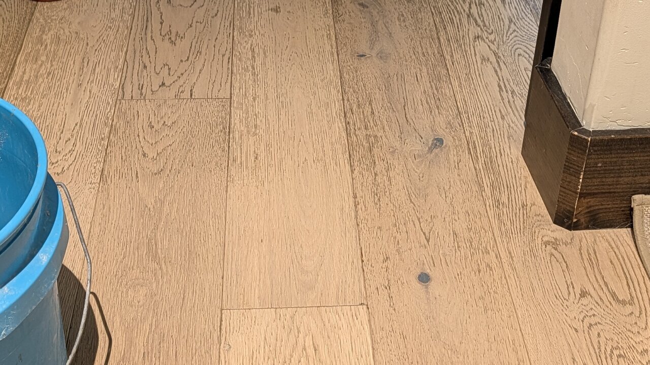 PXL_20251009_165735987.jpg