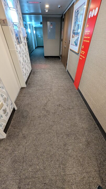 PXL_20251030_140123483.jpg PXL_20251030_140123483.jpg