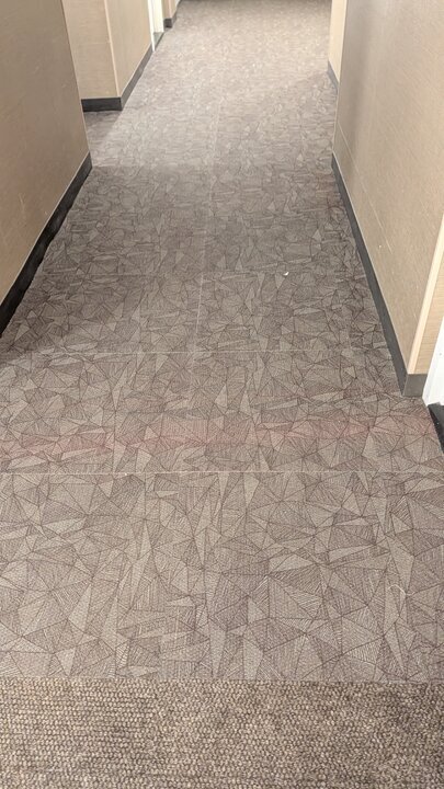 PXL_20251030_141906845.jpg PXL_20251030_141906845.jpg