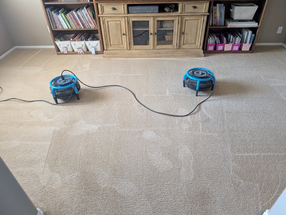 PXL_20250620_204537550.jpg PXL_20250620_204537550.jpg