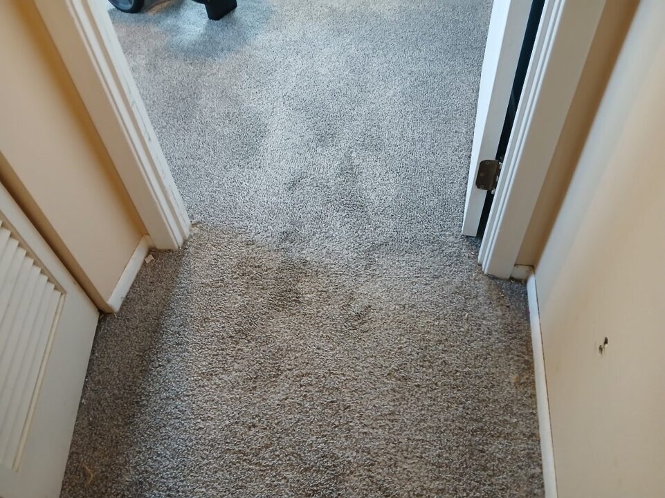 image000002 (23).jpg image000002 (23).jpg