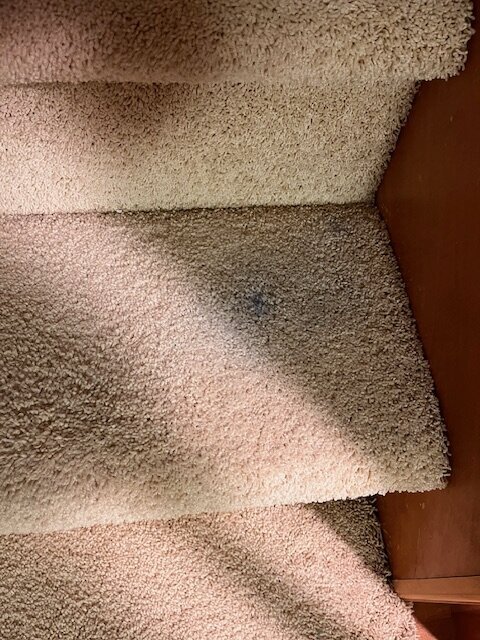 IMG_8466.jpeg IMG_8466.jpeg