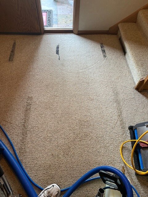 IMG_7322.jpg IMG_7322.jpg