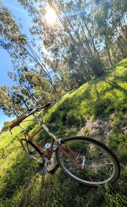 PXL_20260225_231229443~4.jpg PXL_20260225_231229443~4.jpg