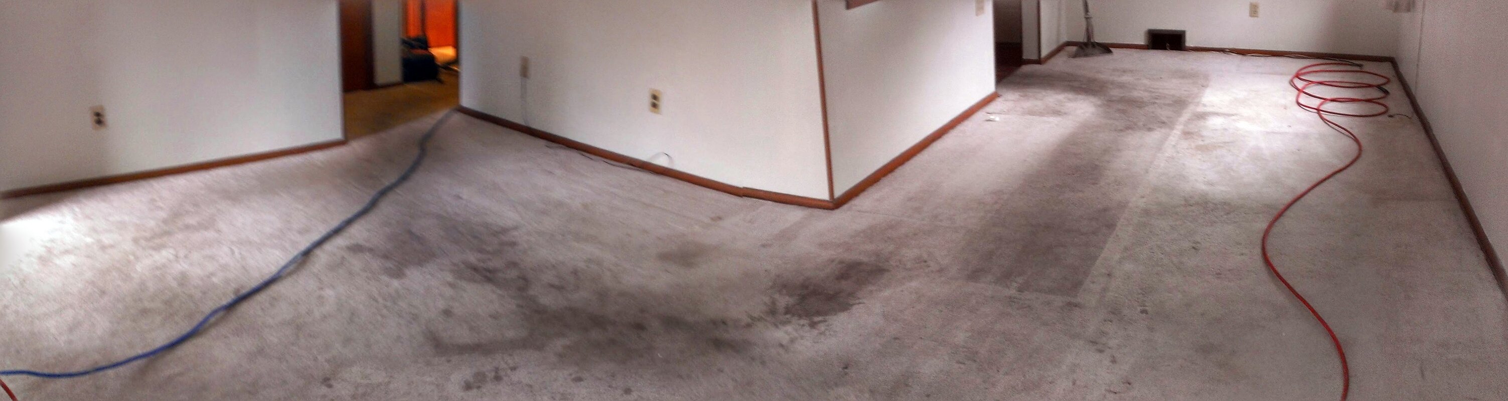 IMAG0354-PANO (1).jpg