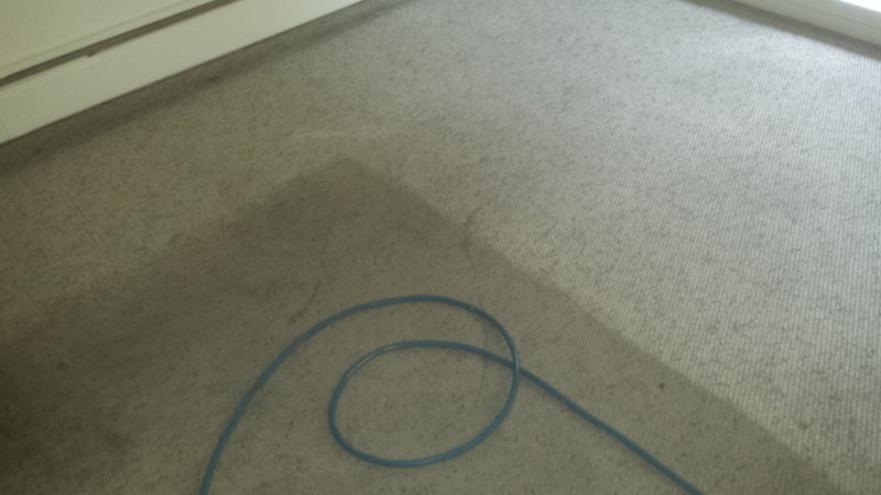20160602_074700.jpg