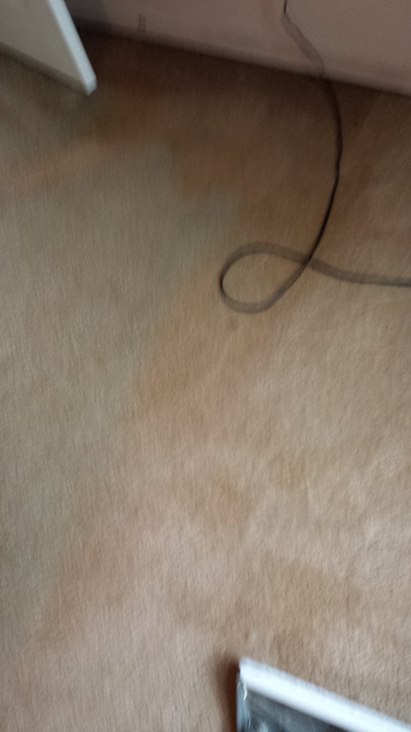 20140429_132247.jpg