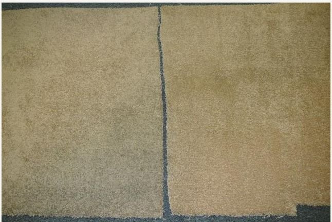 SmartStrand.jpg