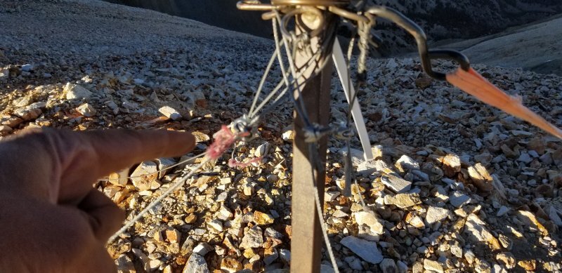 20181105_154106.jpg