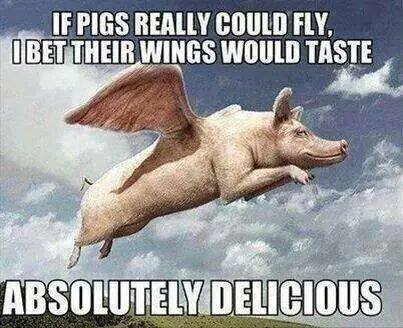 Pigs fly.jpg