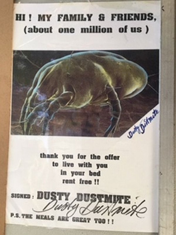 Dust Mite Poster 2.jpg