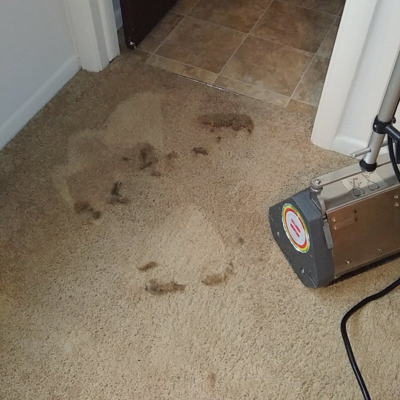 20191127_105131.jpg