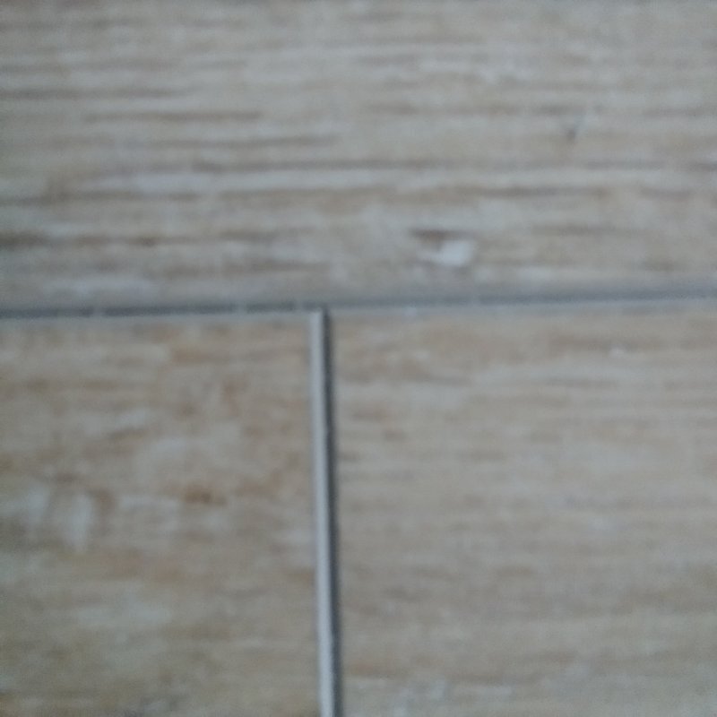 20200128_115532.jpg