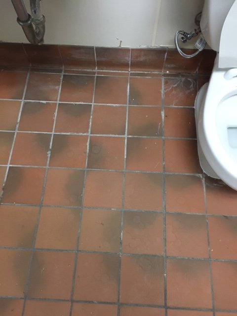 Bathroom Tile 2.JPG