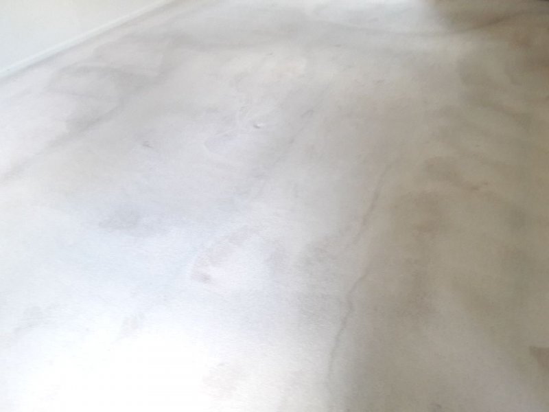0BCCD087-4BC8-4B48-A6DE-BB8AE0DF62DC.jpeg