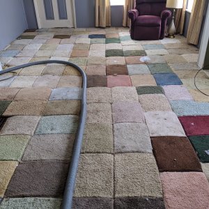 https://mikeysboard.com/threads/crazy-carpet-tiles.291736/