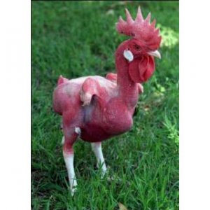 wax rooster.jpg