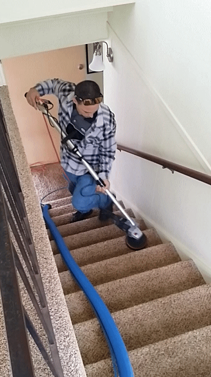 20141119_101412_zps4v8jvejw.gif