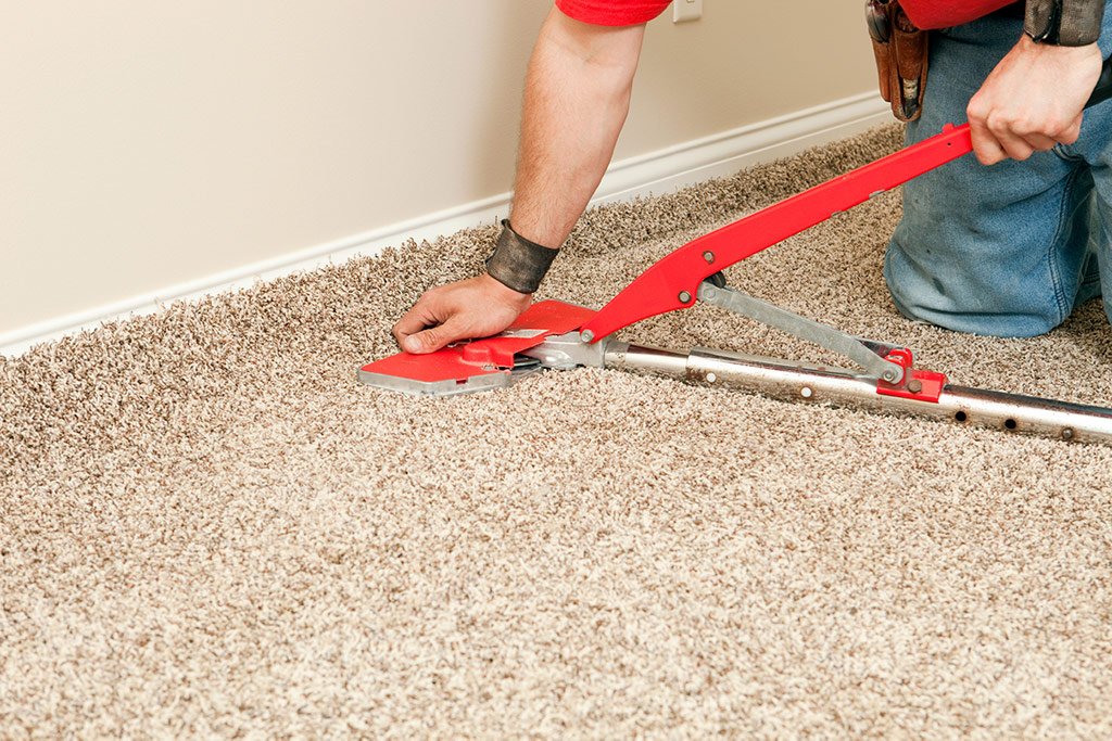 carpet-rug.org
